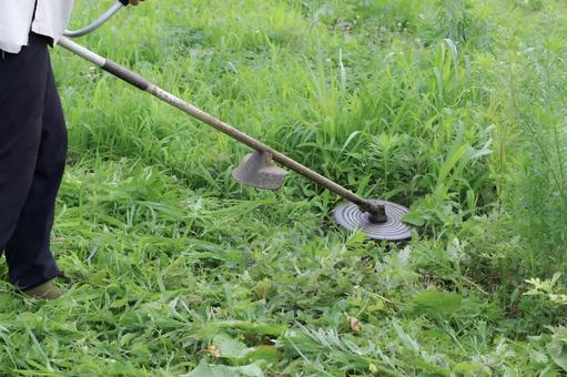 草刈り