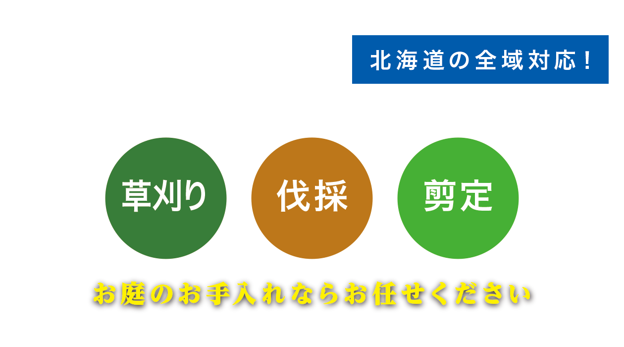 ������A���́A����A����̂������Ȃ炨�C����������